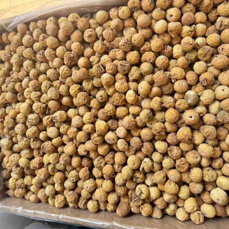 无花果精品A+++