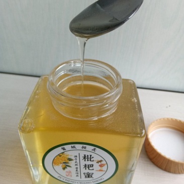 天然土蜂蜜枇杷蜜