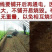 大棚育苗热线温室地温农用加温蔬菜空气加热智能