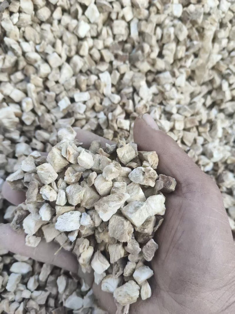 菊苣根/菊苣丁/中药材/颗粒