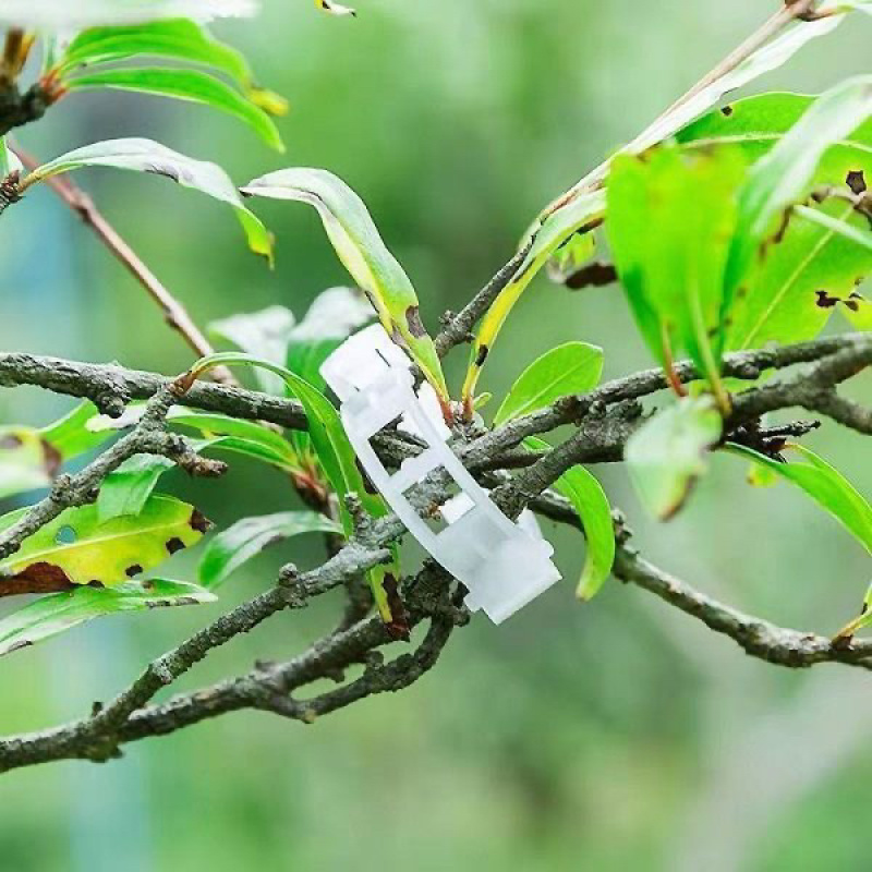 豆角西红柿黄瓜绿植绑枝蔬菜藤蔓捆绑固定夹扎带自动扣专