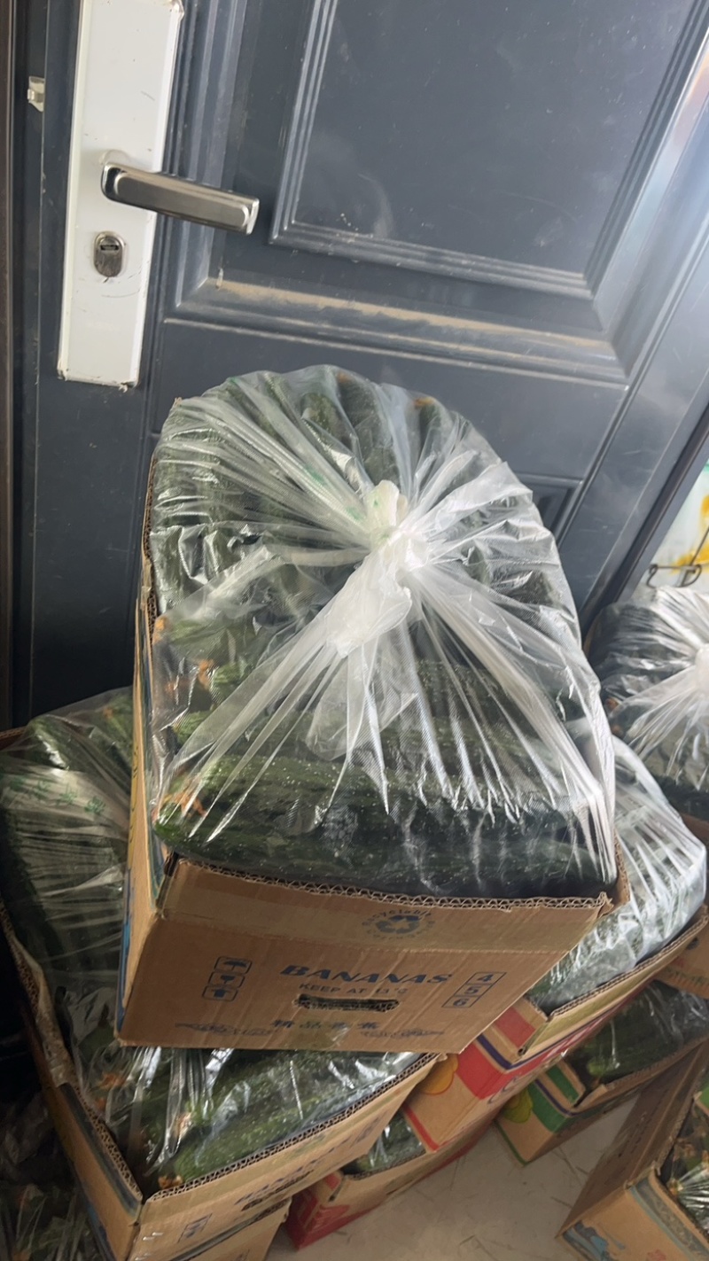 沃来采扶沟梅桥网点直营货，市场电商都可以