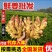 小黄姜老姜鲜姜辣味足块头大货源充足全国发货质量保证
