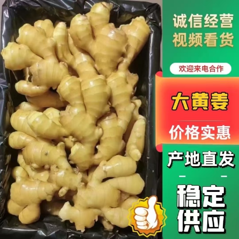 大姜老姜鲜姜姜块厚重辣味十足保值保量支持全国发货