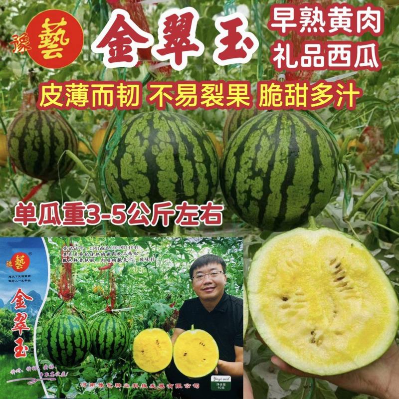 豫艺金翠玉西瓜种子早熟黄肉礼品西瓜种籽皮薄而韧花皮黄肉