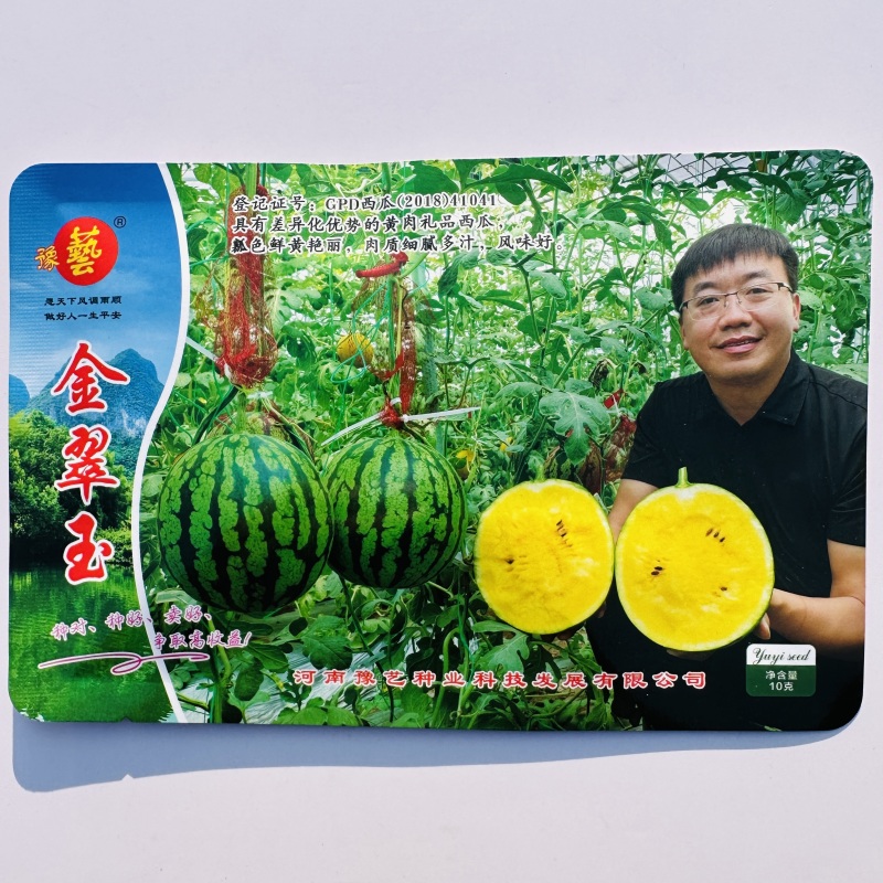 豫艺金翠玉西瓜种子早熟黄肉礼品西瓜种籽皮薄而韧花皮黄肉