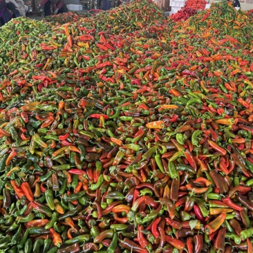 花泡椒大量有货中各大超市电商
