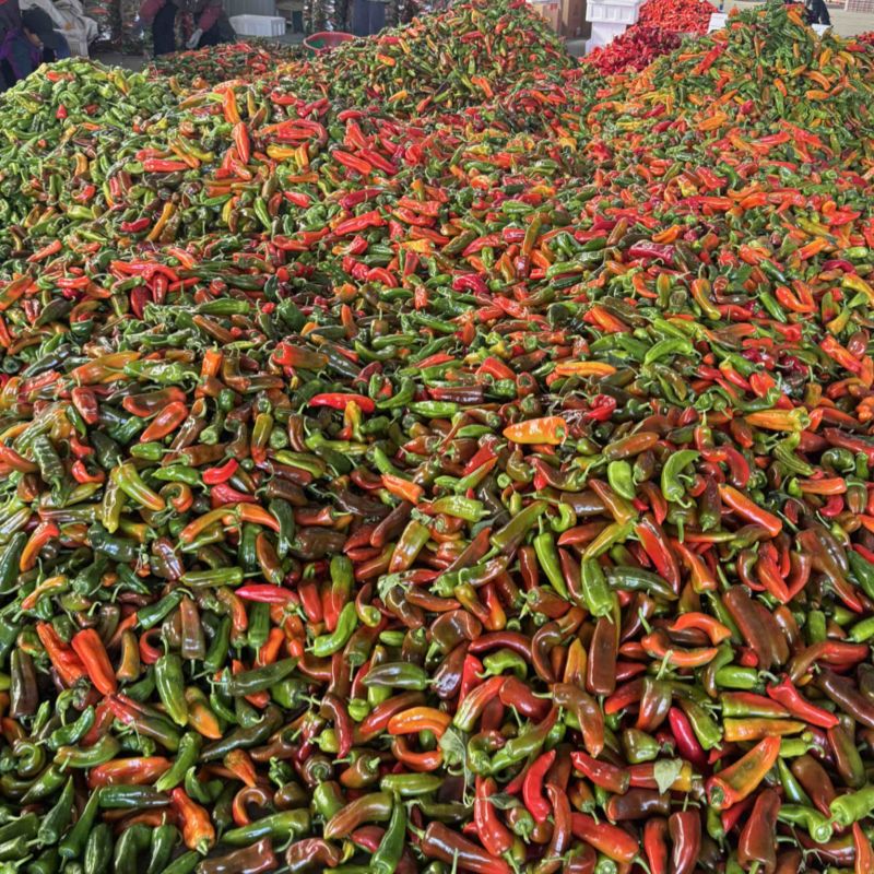 花泡椒大量有货中各大超市电商
