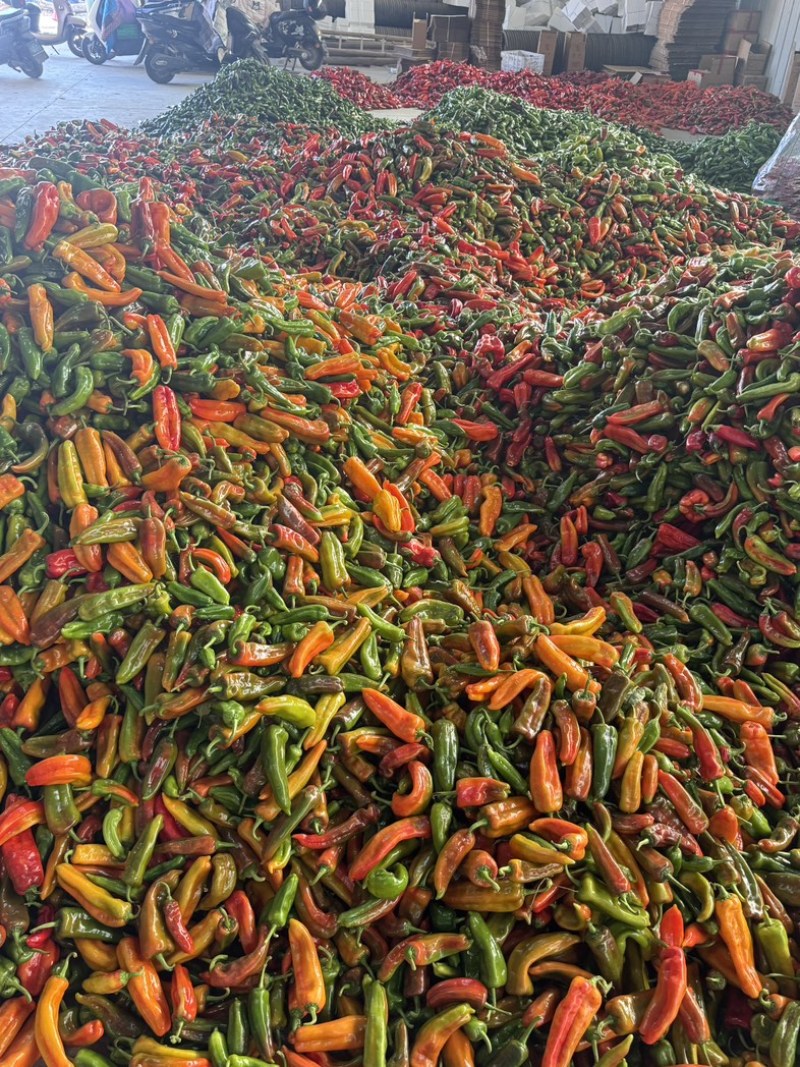 花泡椒大量有货中各大超市电商