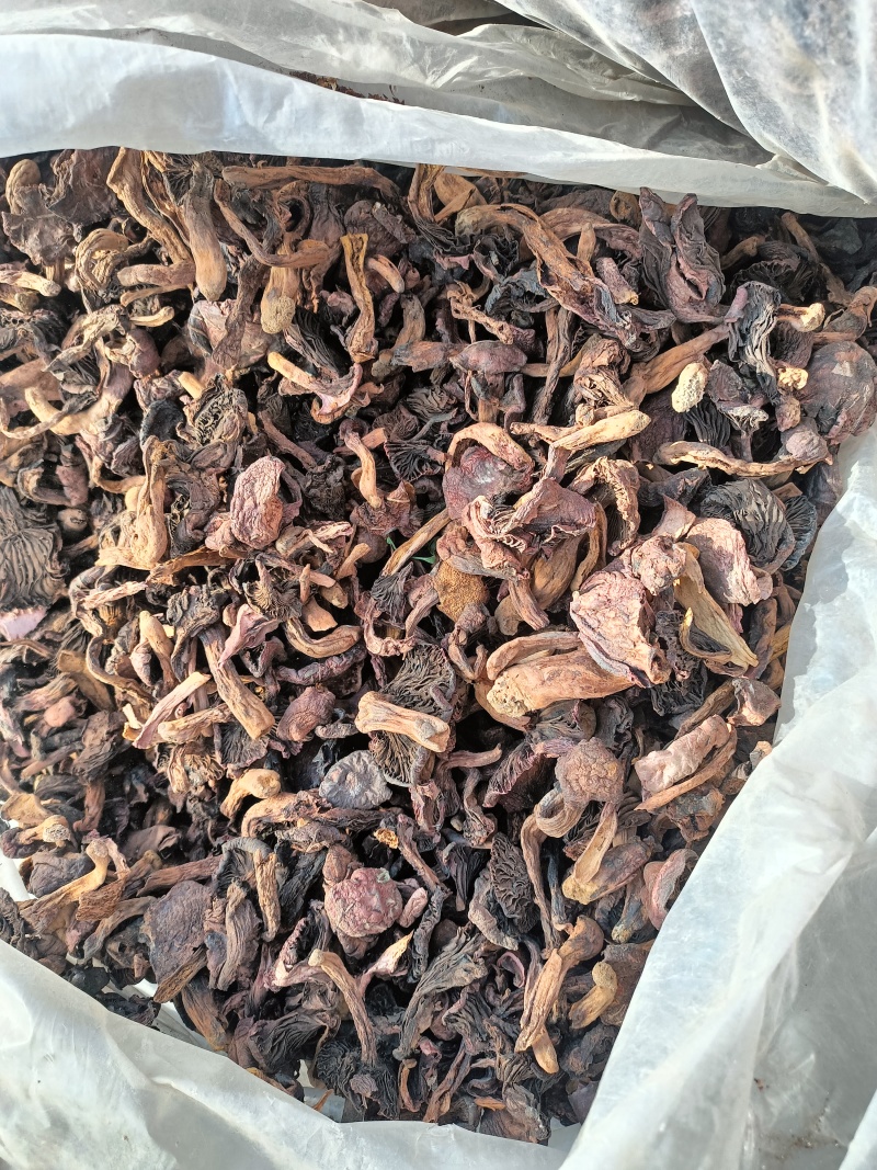 红蘑黑头松树肉蘑颜色一般价格便宜