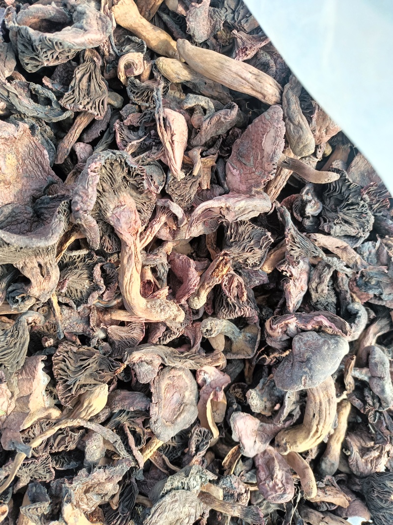 红蘑黑头松树肉蘑颜色一般价格便宜