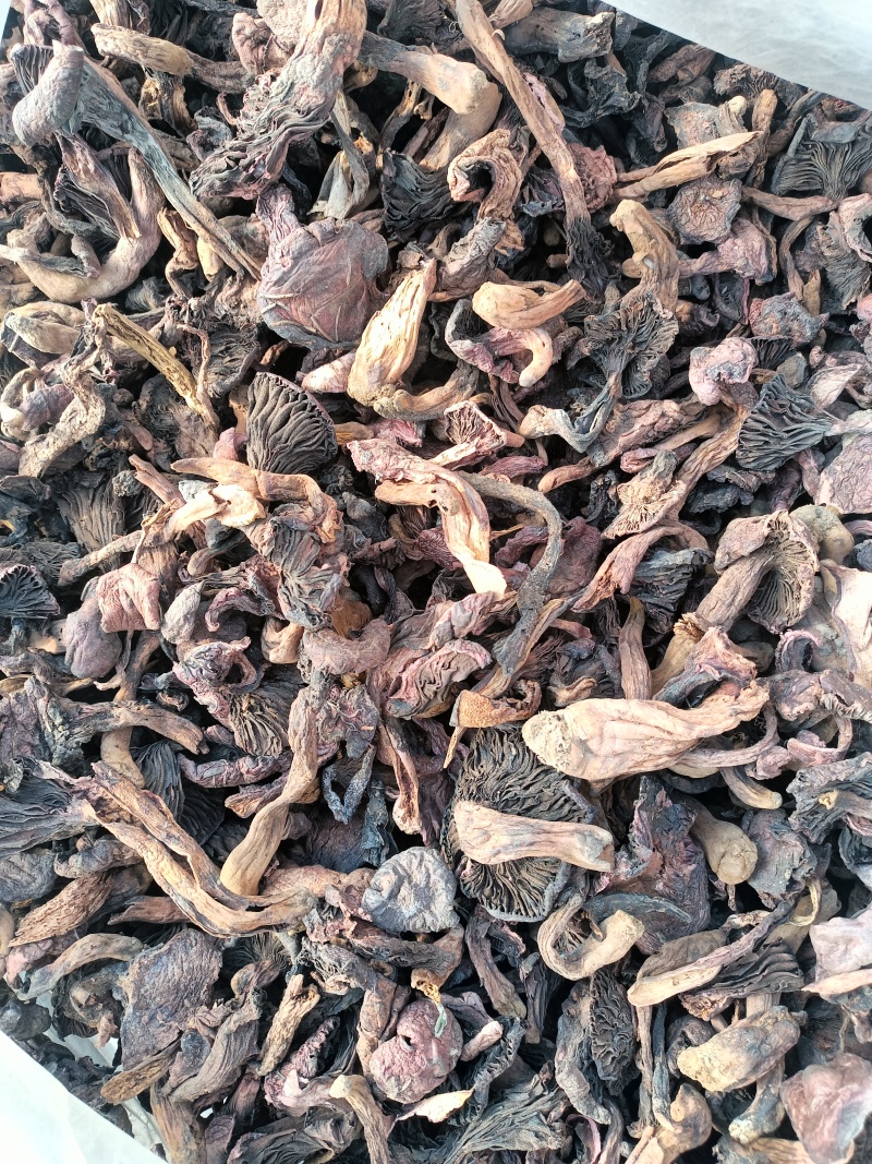 红蘑黑头松树肉蘑颜色一般价格便宜