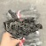 山东精品海带头