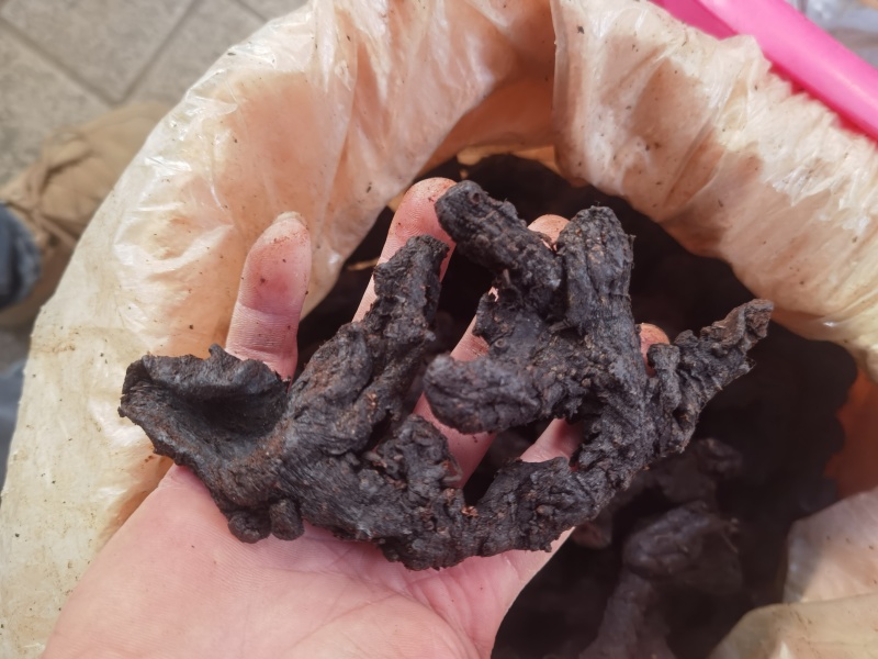 九蒸九晒黄精，一手货源，支持全国发货。