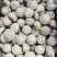 泌阳花菇产地直发各种规格批发价