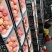 洛川苹果