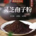 长白山灵芝孢子粉富硒当季头道精品孢子粉产地直销