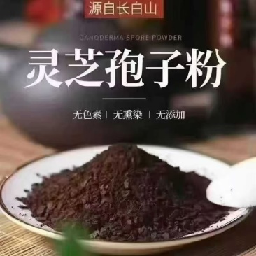 长白山灵芝孢子粉富硒当季头道精品孢子粉产地直销