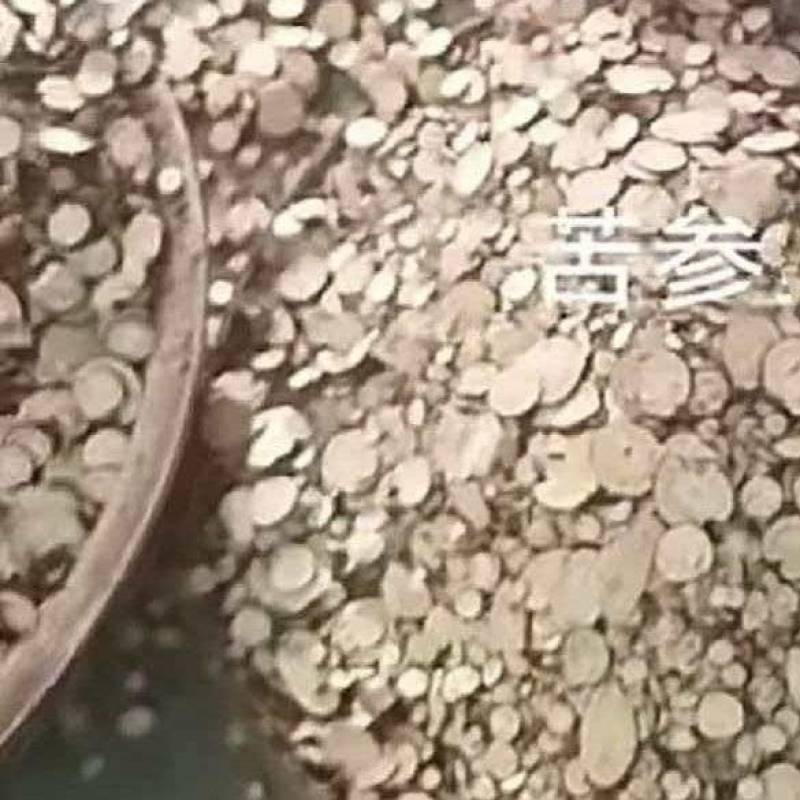 苦参片，颗粒，投料高品质，信誉好，