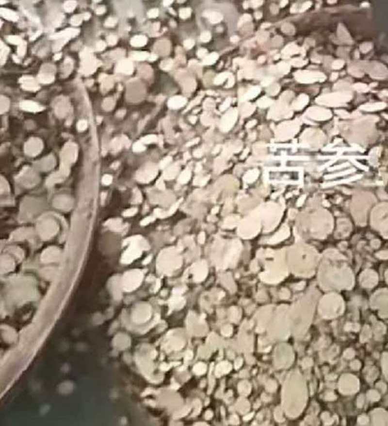 苦参片，颗粒，投料高品质，信誉好，