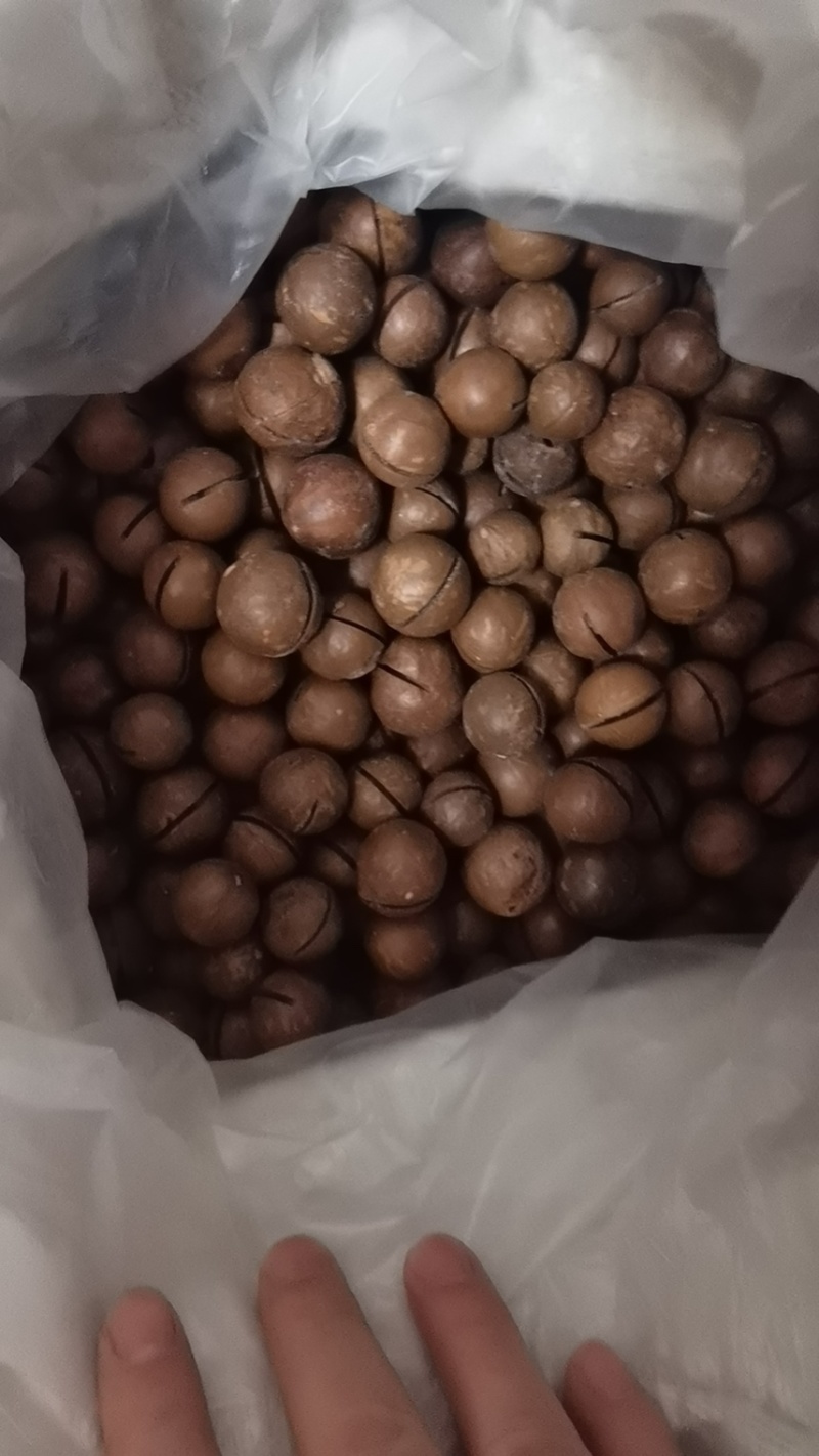 夏威夷果新货奶香味电商货商超货大量现货