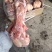 后棒骨，后筒骨，满骨髓，9-13根。一件20斤