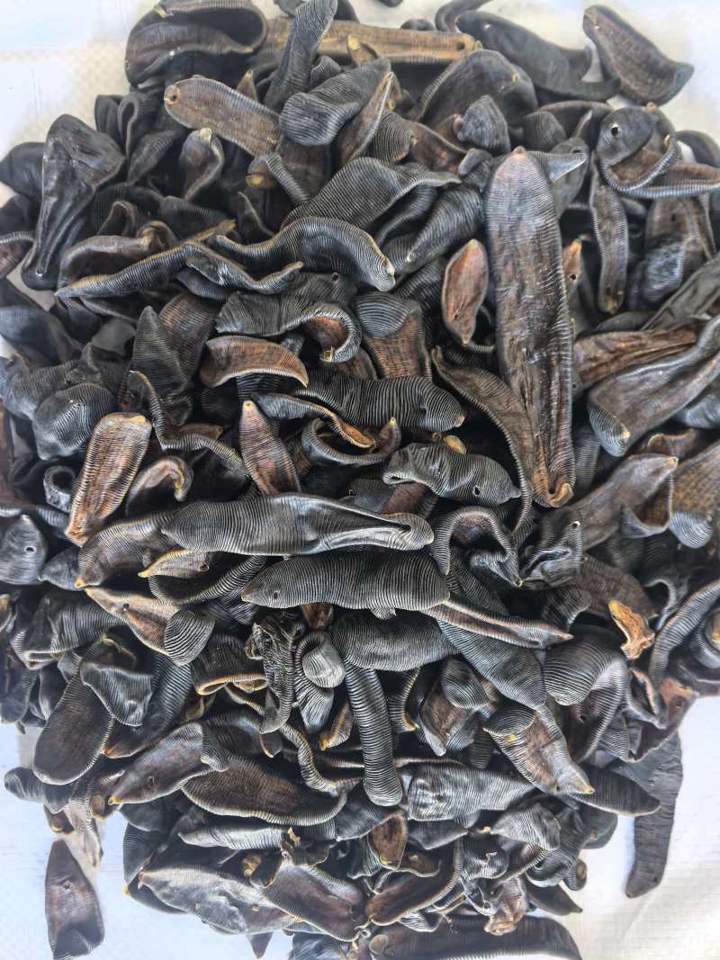 水蛭中药材清水水蛭吊干蚂蟥水蛭东弘药业一手货源现货供应