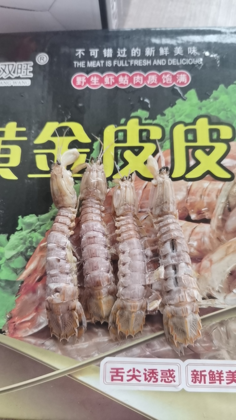 皮皮虾