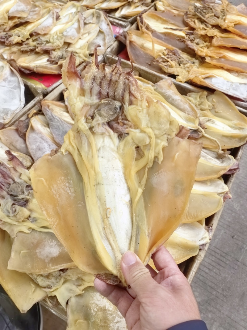 正品墨鱼干正经目鱼干