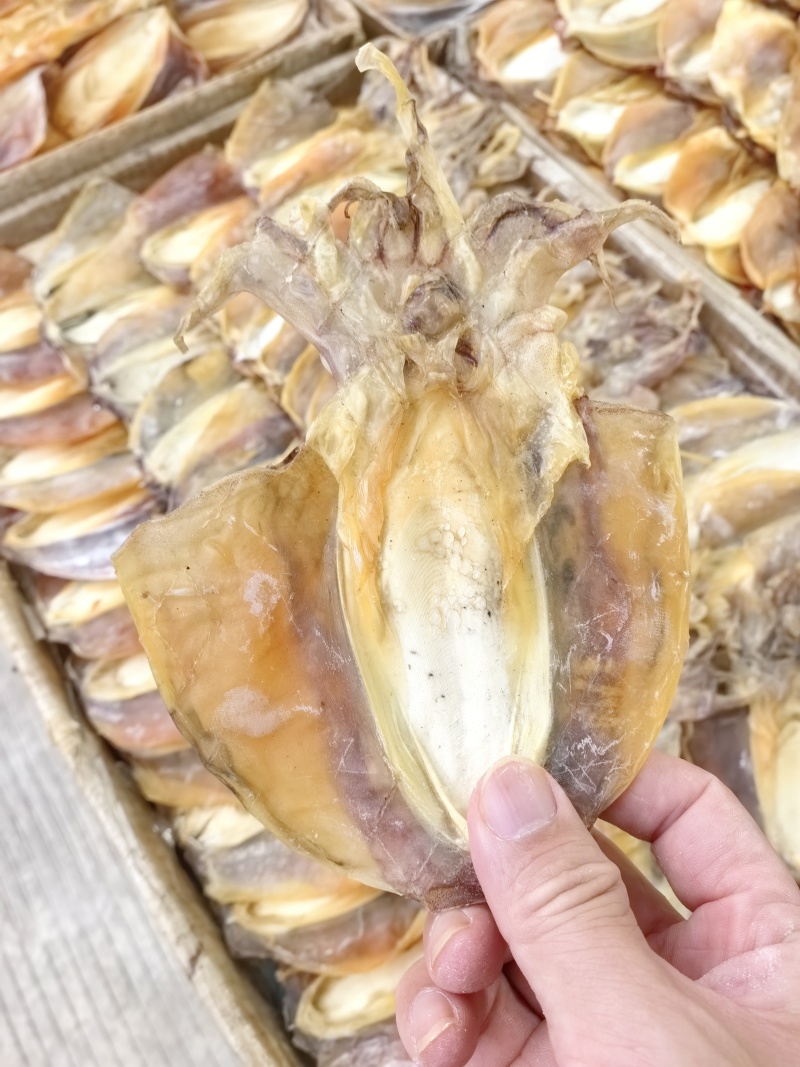 正品墨鱼干正经目鱼干