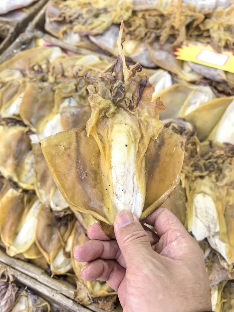 正品墨鱼干正经目鱼干