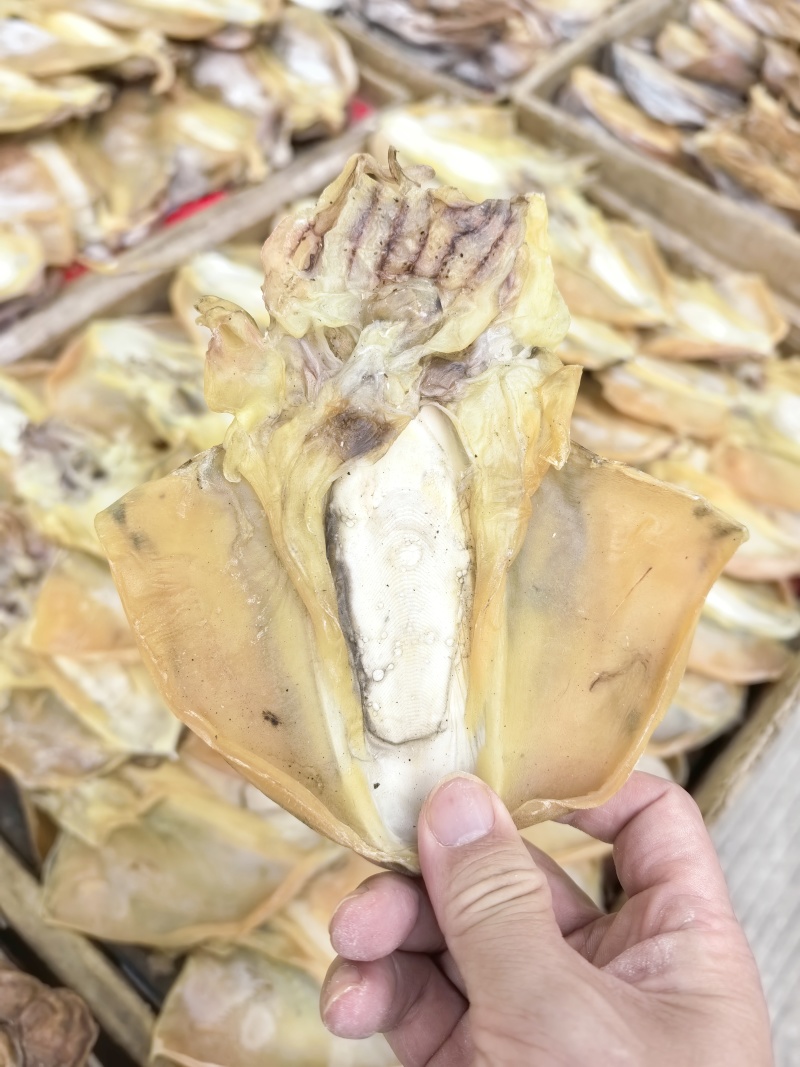 正品墨鱼干正经目鱼干