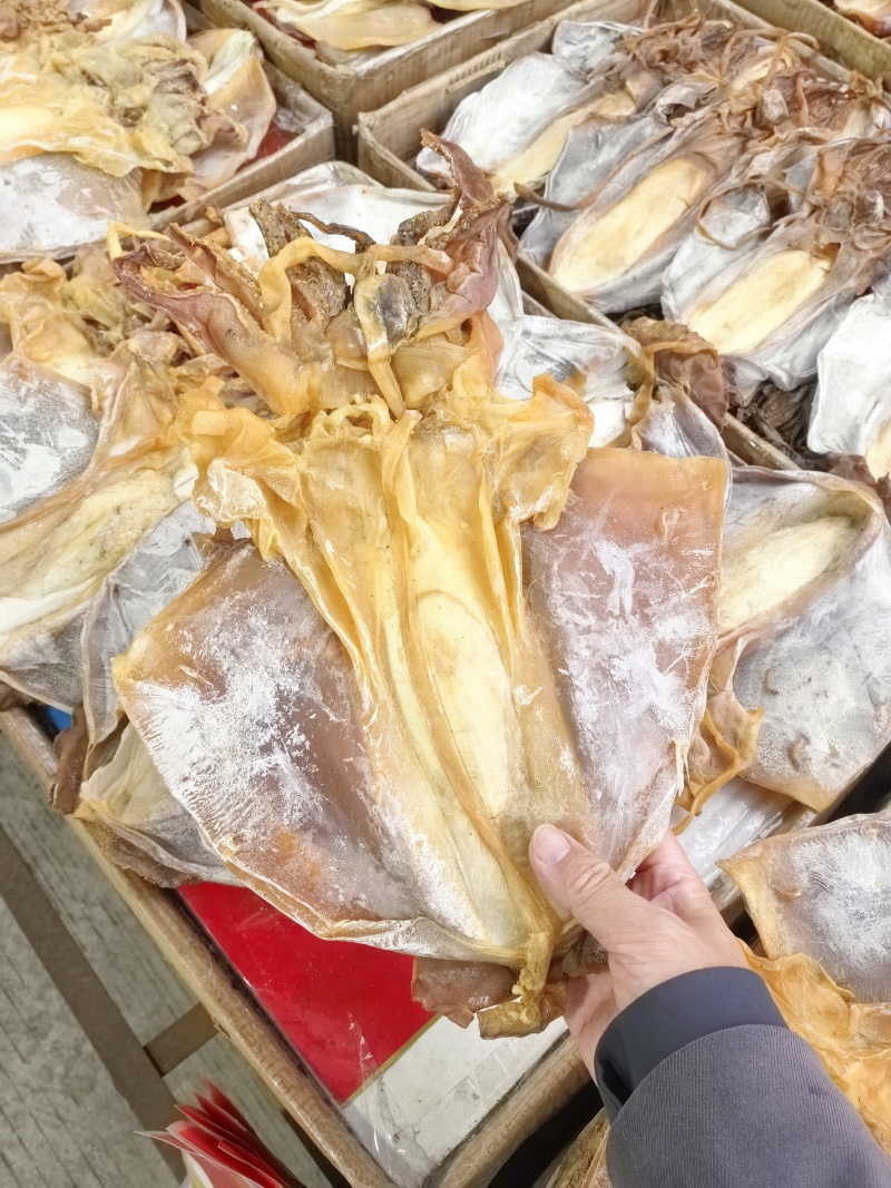 正品墨鱼干正经目鱼干