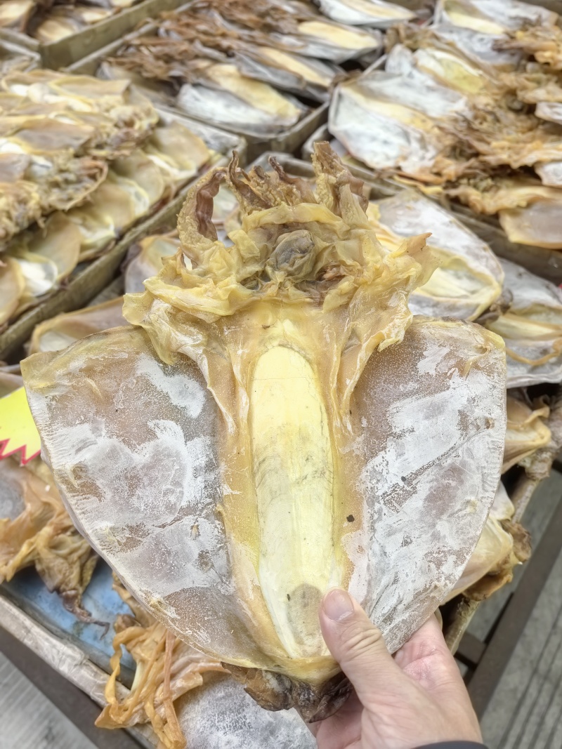 正品墨鱼干正经目鱼干