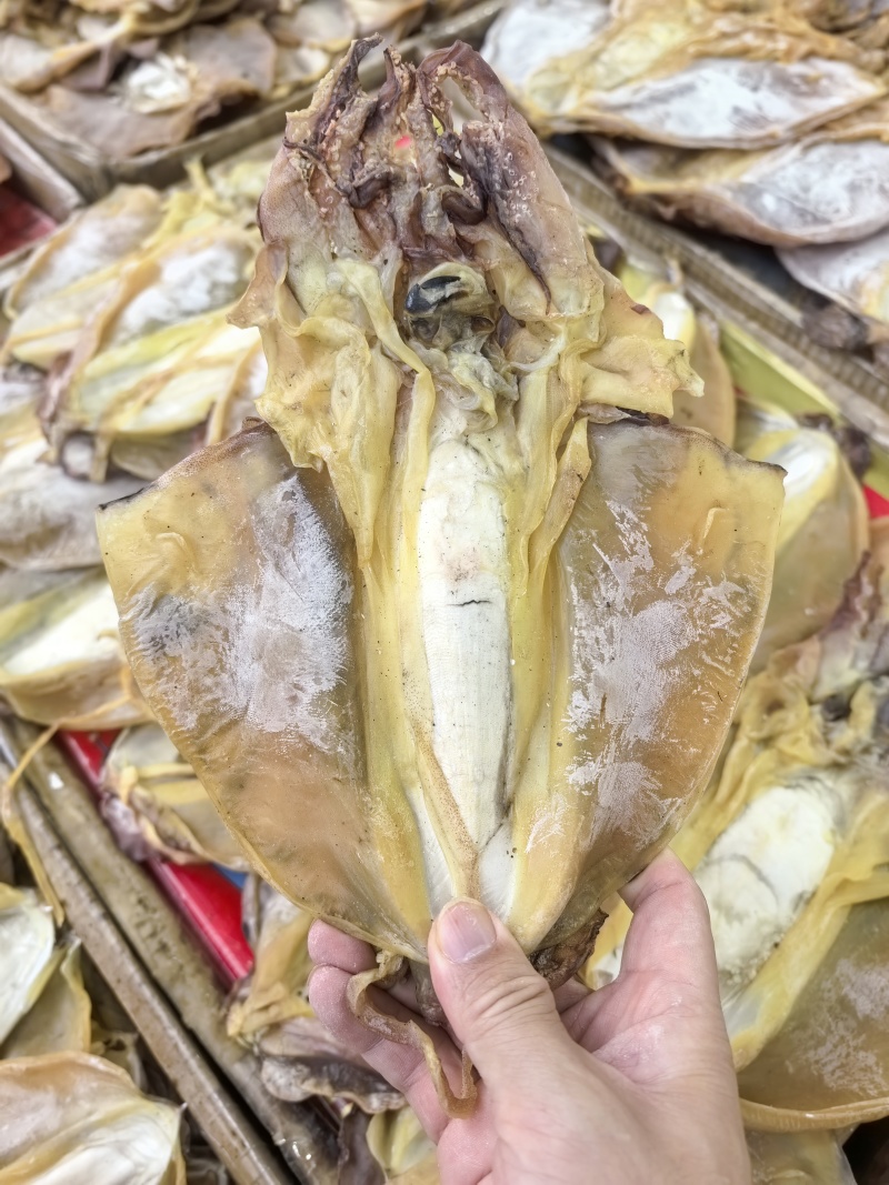 正品墨鱼干正经目鱼干