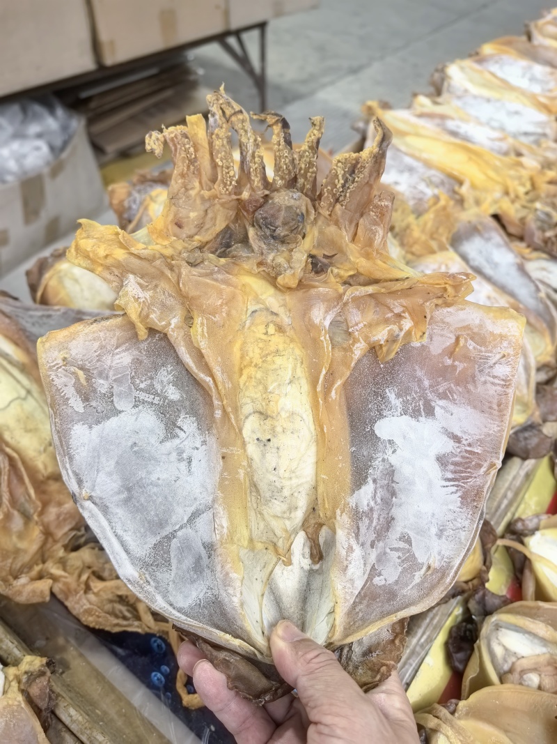 正品墨鱼干正经目鱼干