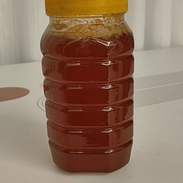 土蜂蜜