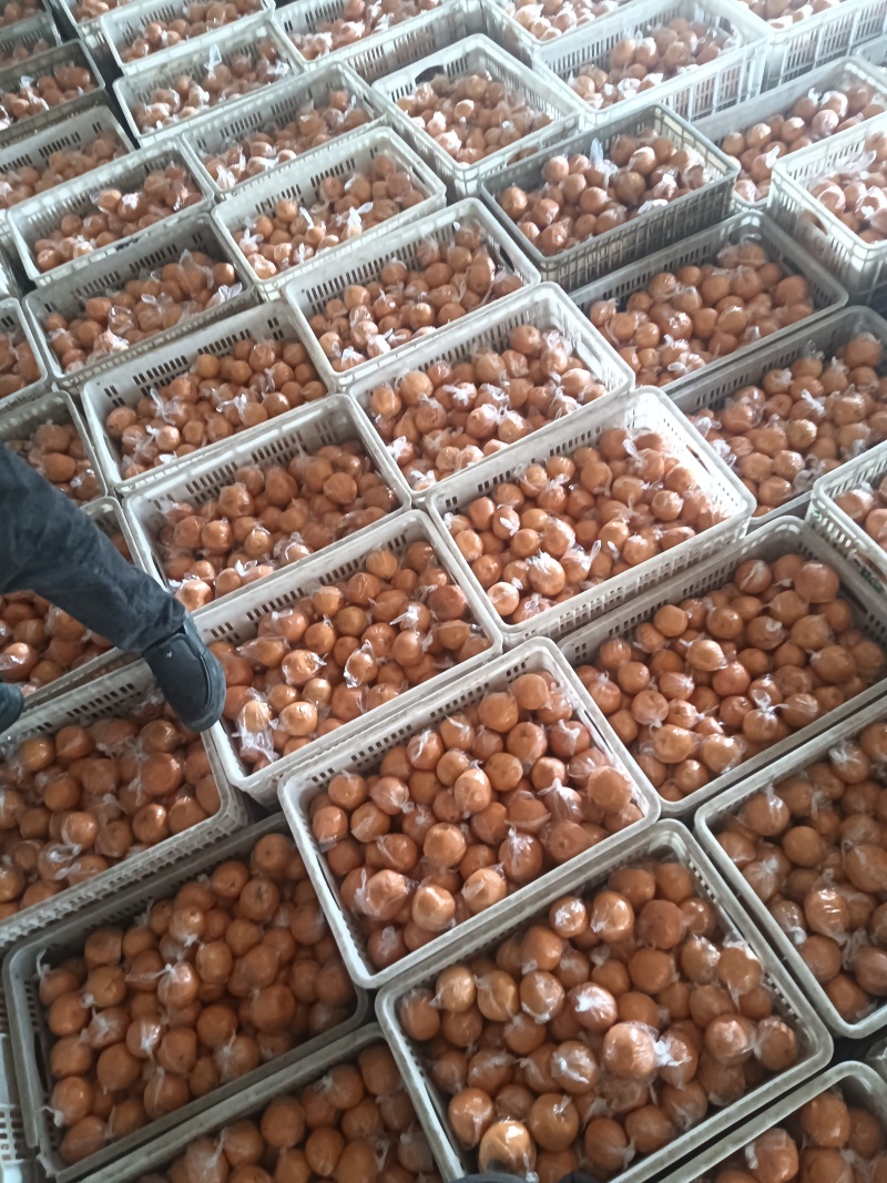 浙江省衢州市衢江区碰柑正在促销中，欢迎新老客户前来选购