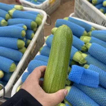 西葫芦
