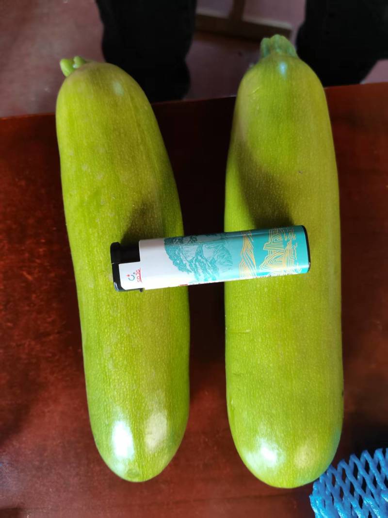 西葫芦