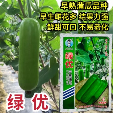 农源绿优瓠子种子早熟短棒蒲瓜种子圆筒雌花早熟果皮翠绿高产