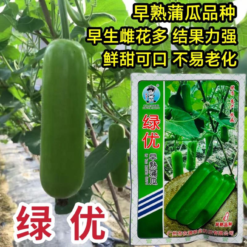 农源绿优瓠子种子早熟短棒蒲瓜种子圆筒雌花早熟果皮翠绿高产