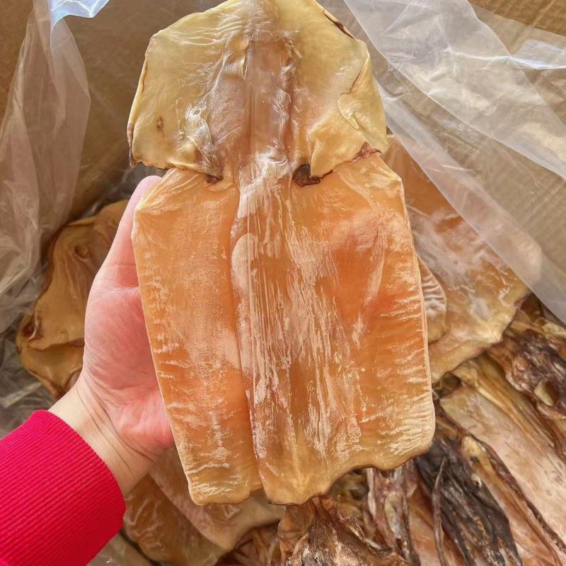 淡干大鱿鱼地摊电商批发纯淡带头带尾大鱿鱼鱿鱼干干鱿鱼