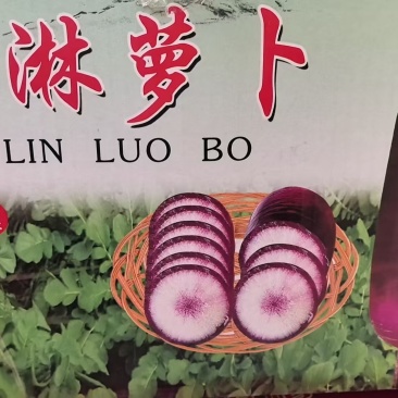 水果萝卜