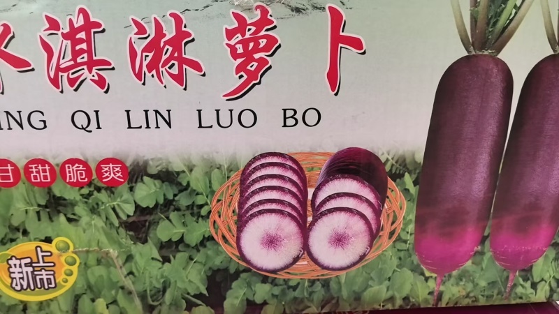 水果萝卜