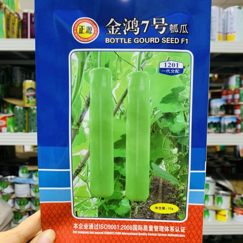金鸿7号瓠子种子杂交一代油绿皮蒲瓜种子中长瓠子种籽质优