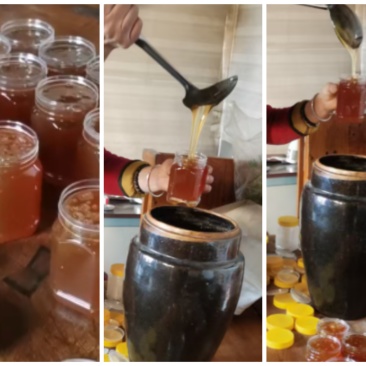老家天然正宗土蜂蜜