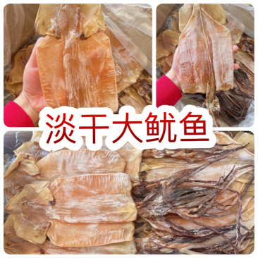淡干大鱿鱼地摊电商批发纯淡带头带尾大鱿鱼鱿鱼干干鱿鱼