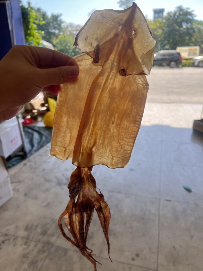 淡干大鱿鱼地摊电商批发纯淡带头带尾大鱿鱼鱿鱼干干鱿鱼