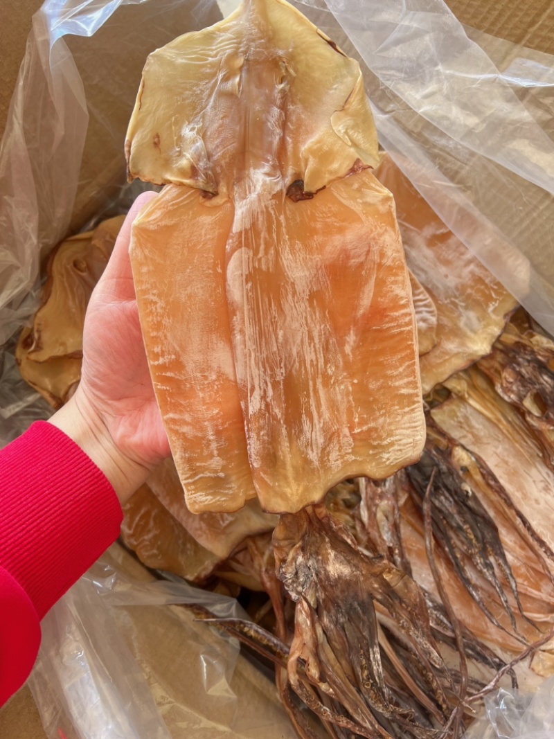 淡干大鱿鱼地摊电商批发纯淡带头带尾大鱿鱼鱿鱼干干鱿鱼